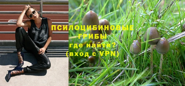 трава Аркадак