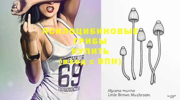 хмурый Алексеевка