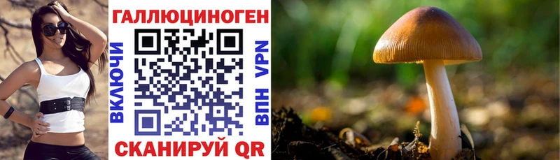 Купить закладки  Харовск  Галлюциногенные грибы ЛСД 