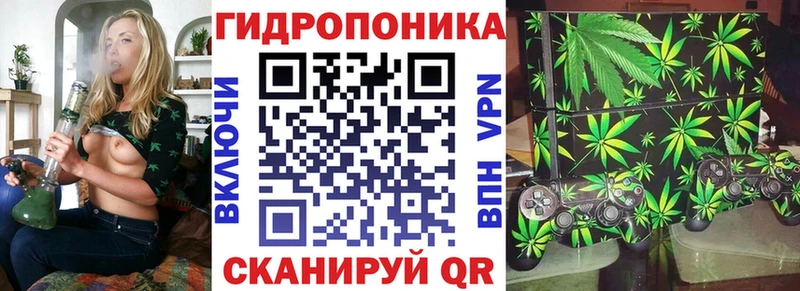Конопля план  Купить где  Харовск 